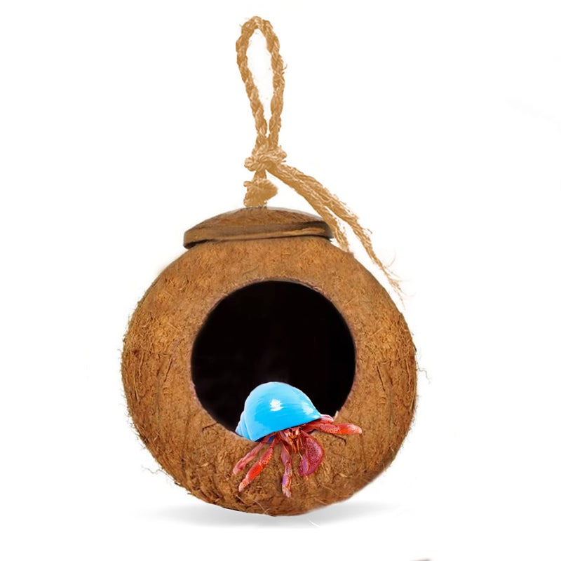 SunGrow Leopard Gecko Coco Hut, Gecko Climbing Accessories, Raw Coconut Shell Reptile Hide, Terrarium Habitat DÃ©cor, 2.5â€ Opening Diameter, with Fiber Loop for Hanging (1-Hole) - Image 3